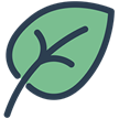 Paperless Documents Icon - generic tree leaf | Alfa Insurance